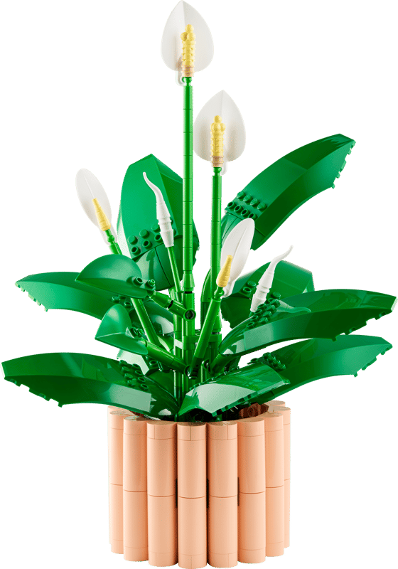 LEGO® Les fleurs de lune — 11504
